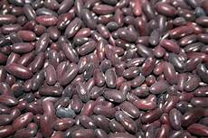 Bean Product