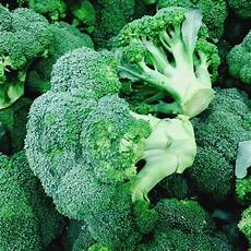 Broccoli Fructose