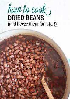 Freeze Dried Coffee