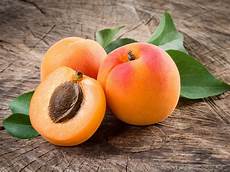 Fresh Apricot Kernel
