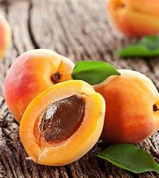 Fresh Apricot Kernel