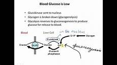 Fructose From Glucose