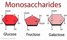 Fructose Monosaccharide