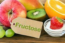 Fructose Per Day
