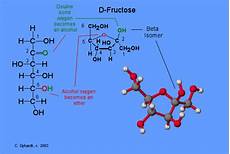 Fructose To Glucose