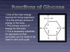 Glucose Fructose Sucrose