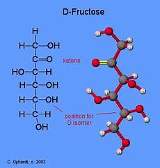 Honey And Fructose