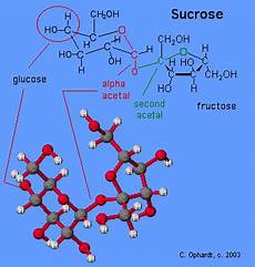 Lactose Fructose Sucrose