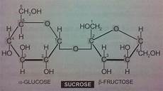 Lactose Fructose Sucrose