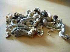 Mushroom Dried