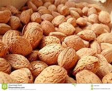 Natural Almond Kernel