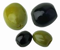 Olive Oil Tree