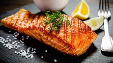 Salmon Fish Food