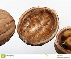 Shelled Walnut