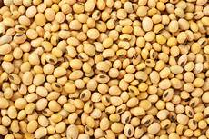 Textured Soybeans