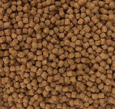 Trout Fish Feed