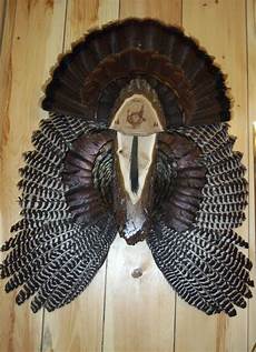 Turkey Wings