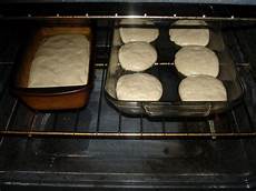 Bella Rise Yeast