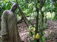 Cocoa Tree Confectionery