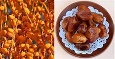 Dried Nuts and Fruits