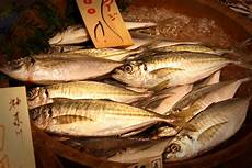 Dried Stock Fish