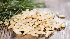 Dried Vegetable