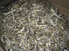 Dry Fish