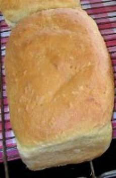 Dry Sourdough Yeast