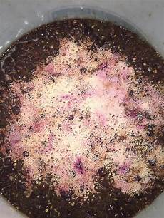 Expired Dry Yeast