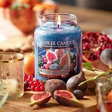 Fig Delight