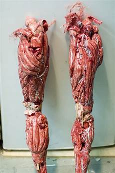 Fillet Part Without Skin