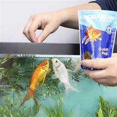 Floating Fish Feed
