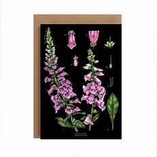 Foxglove Confectionery