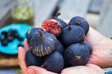 Fresh Fig