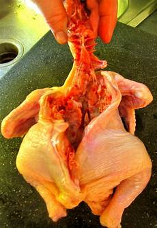 Frozen Cornish Hen