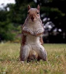Fructose In Nuts