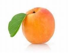 Industrial Dried Apricot