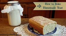 Instant Yeast Packet