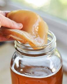Kombucha Natural Confectionery