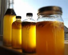 Kombucha Natural Confectionery