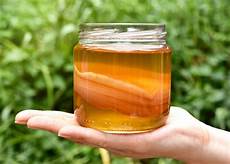 Kombucha Natural Confectionery