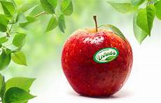 Livinda Confectionery