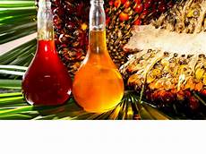 Organic Maltodextrin
