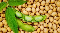 Soy Health