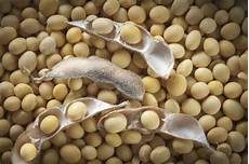 Soy Health