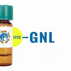 Soybean Lectin