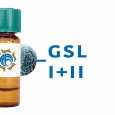Soybean Lectin