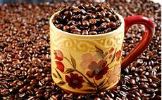 Starbucks Colombia Instant Coffee