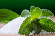 Stevia Fructose