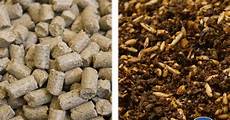 Textured Soy